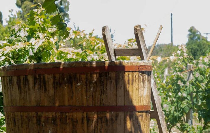 Tours in Corfu | Excursions in Corfu | Activities in Corfu | Corfu by Locals